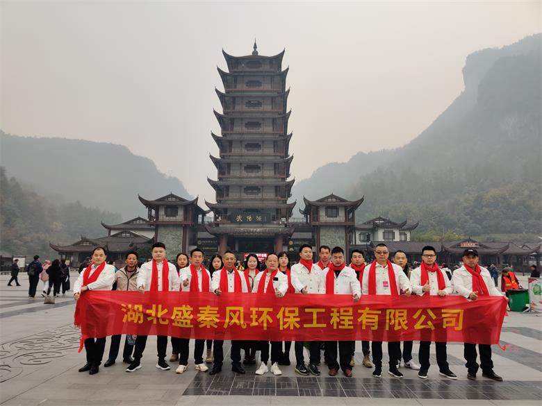 2019年湖北盛秦風公司湘