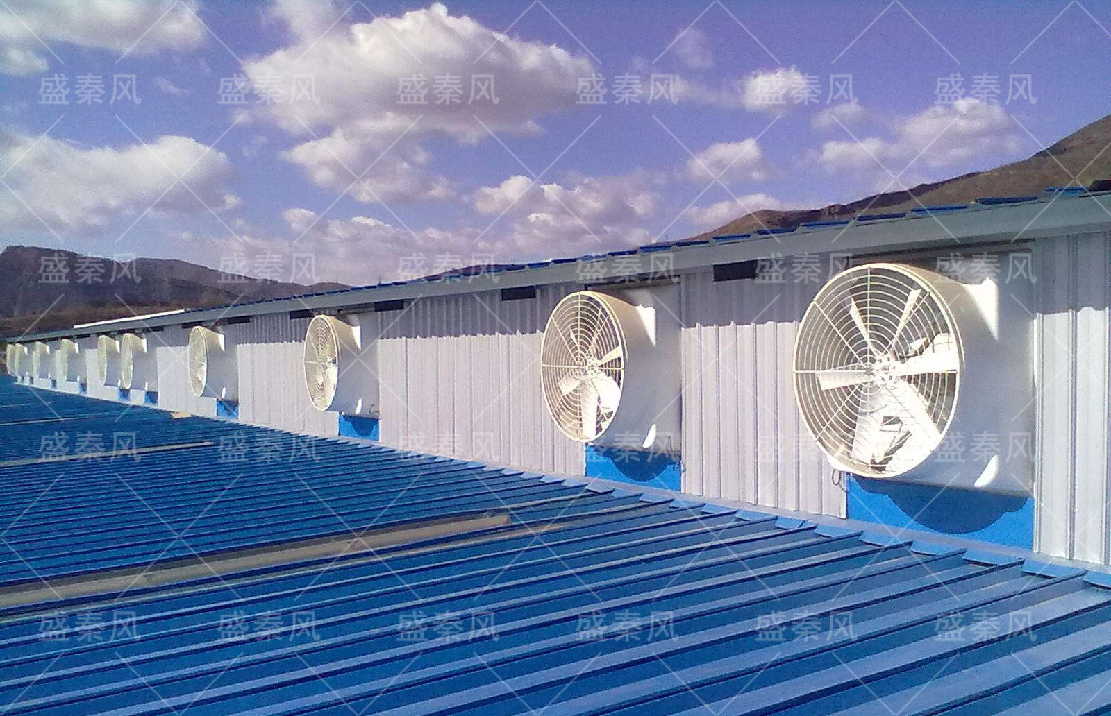 負壓風機噪音大是什么原因？湖北工業風扇風機廠家解答