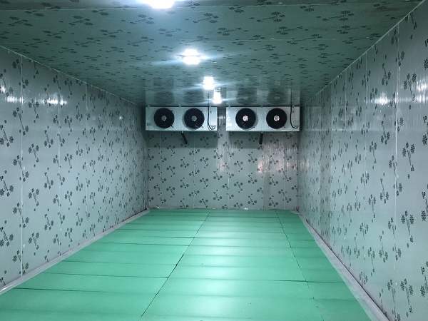 冷庫中冷藏庫和冷凍庫有什么區別？避免這兩大誤區