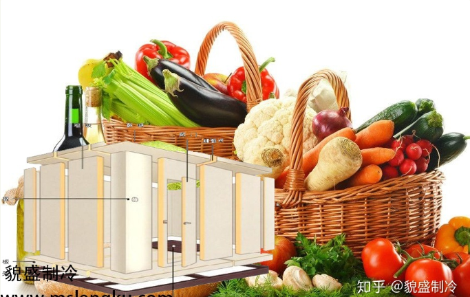 蔬菜保鮮冷庫的特點與優勢有哪些？您了解這些方面嗎