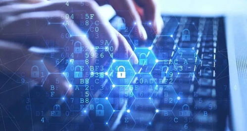 超市警惕 用戶數據泄露風險與網絡安全防護策略